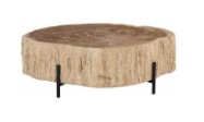 Petrified Wood Coffee Table